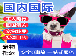 三女河航空货运国际宠物托运 【国